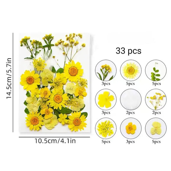 Dried Flower Pack Yellow