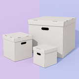 3d Delivery Cake Box