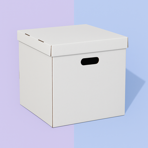 3d Delivery Cake Box
