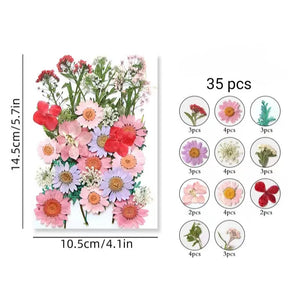 Dried Flower Pack Pink