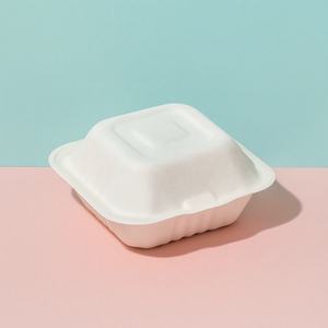 Bento Box Biodegradable Single