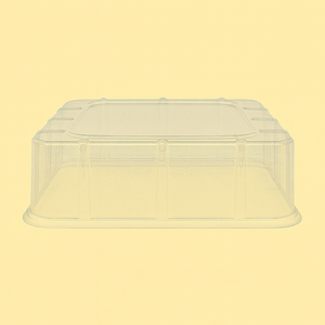 Cake Dome K79D – Rectangle Low (296 x 243 x 50mm)