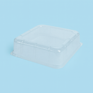 Cake Dome K79 Square (L599) – 235 x 235 x 60mm