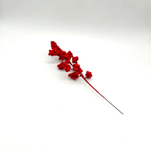 Mini Red Berries