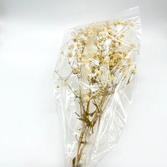Natural Babies Breath Singles