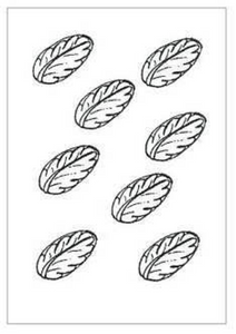 Barco Choc Mould - Leaf (A74)