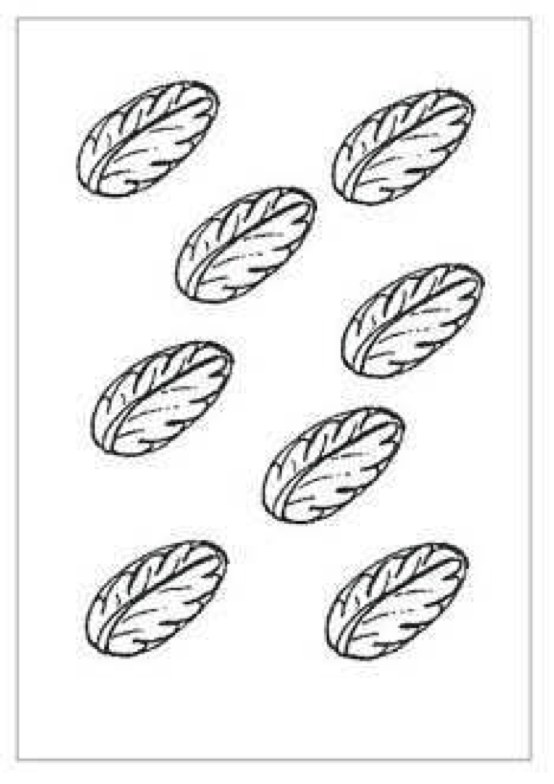 Barco Choc Mould - Leaf (A74)