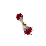 Stamens 50's