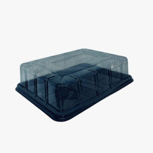 Super Cake Dome L720 and Base
