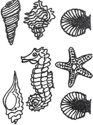 Barco Choc Mould - Shells and Seahorse (AA29)